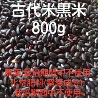 訳あり☆古代米黒米800g(米/穀物)