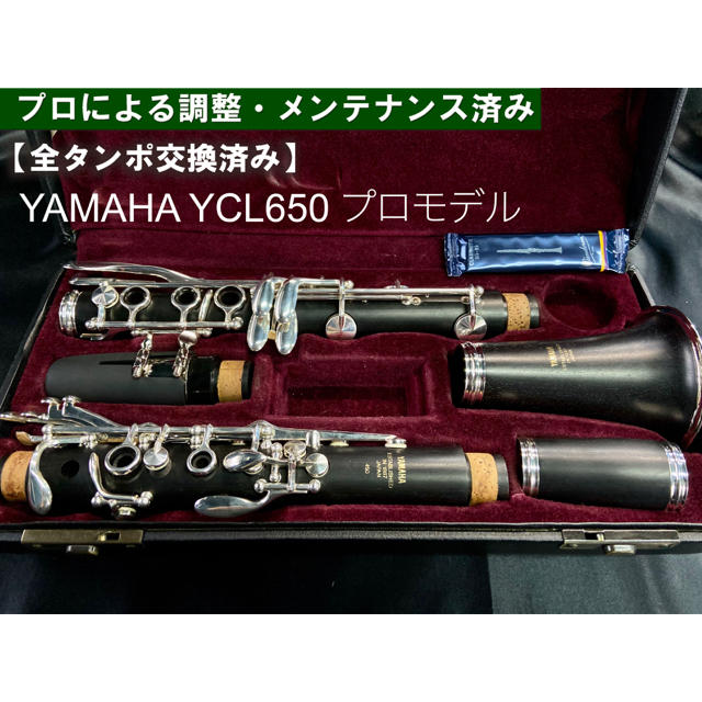 【良品 全タンポ交換メンテナンス済】YAMAHA YCL650