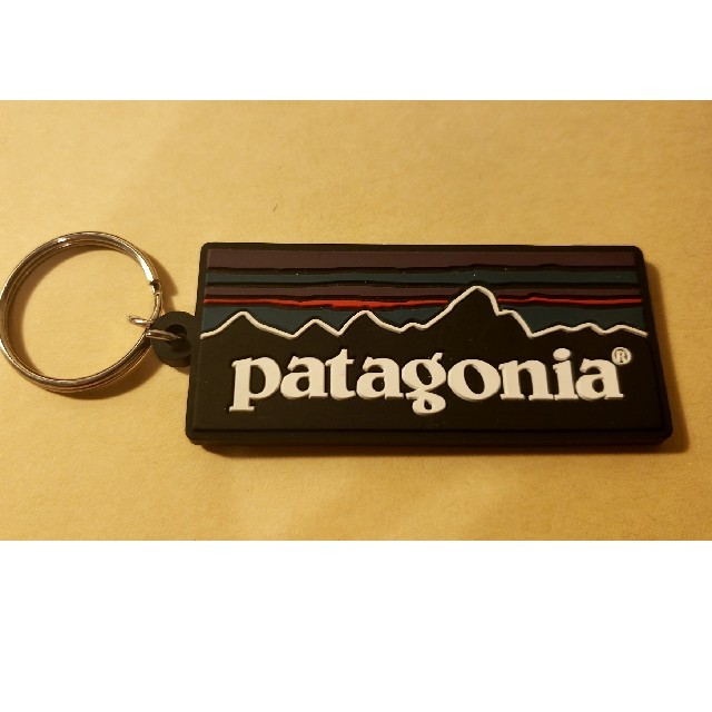 patagonia(パタゴニア)のマコさま用　patagoniaキーホルダー メンズのメンズ その他(その他)の商品写真