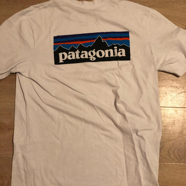 patagonia(パタゴニア)のPatagonia Tシャツ メンズのトップス(Tシャツ/カットソー(半袖/袖なし))の商品写真