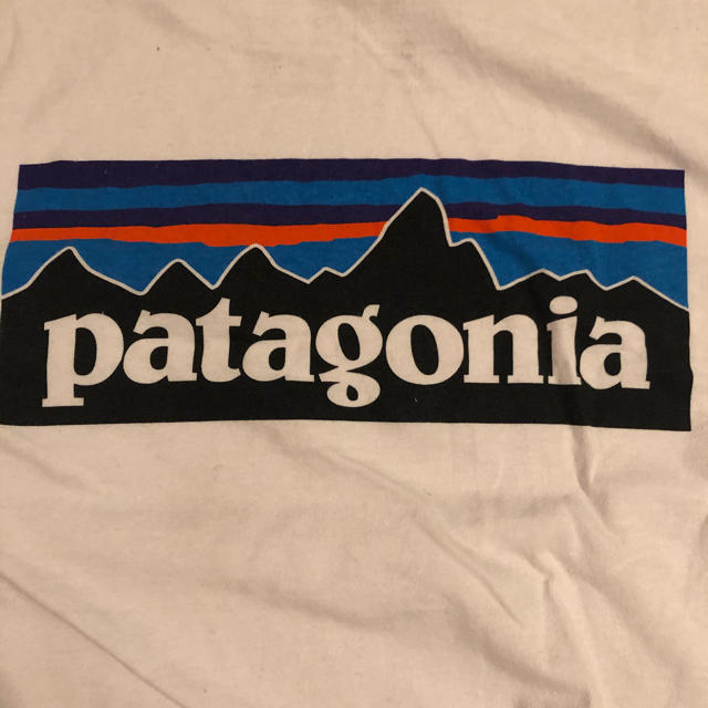 patagonia(パタゴニア)のPatagonia Tシャツ メンズのトップス(Tシャツ/カットソー(半袖/袖なし))の商品写真