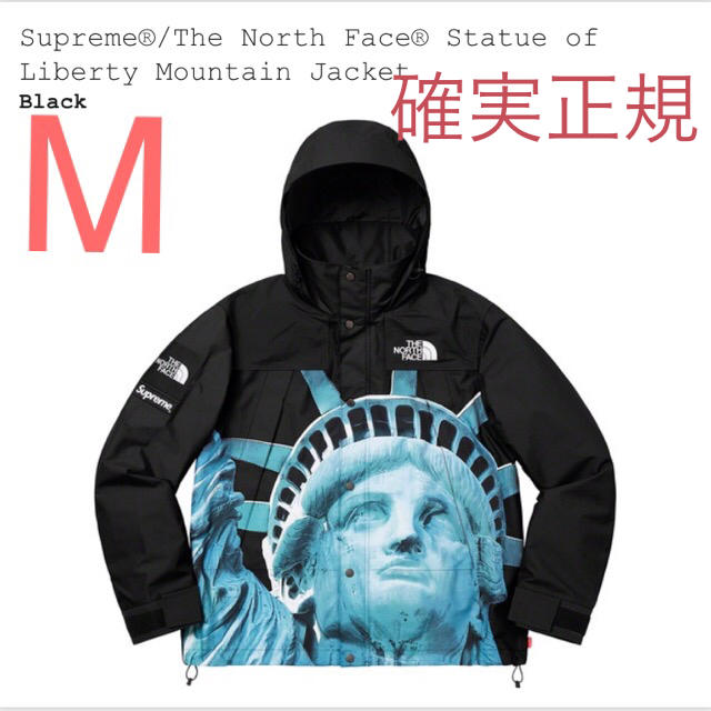 Supreme The North Face Mountain Jacket