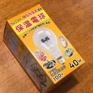 アサヒ(アサヒ)のアサヒ ひよこ電球 40W 未使用(小動物)