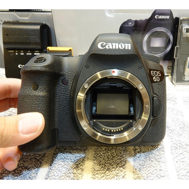 おトク】 - Canon にゃんこママ CANON レンズ2本 6D デジタル一眼 おトク】 - Canon にゃんこママ CANON レンズ2本 6D デジタル一眼
