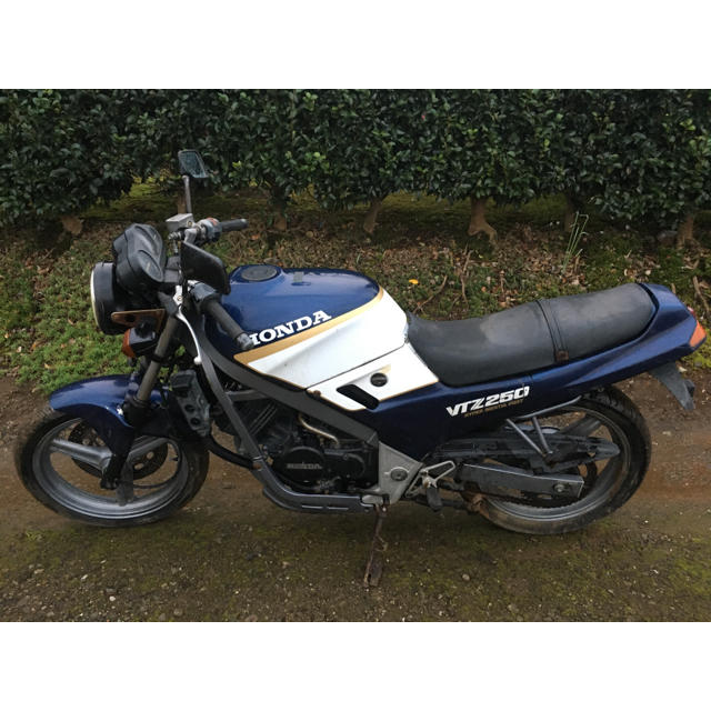 VTZ250車体