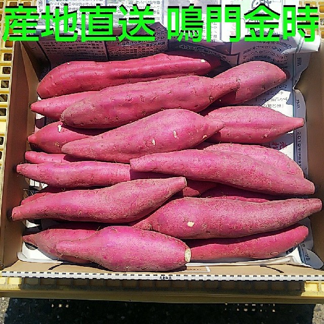 佐川農園☆訳ありサイズ2S→15本以上入り 全国送料無料☆鳴門金時☆さつまいも 食品/飲料/酒の食品(野菜)の商品写真