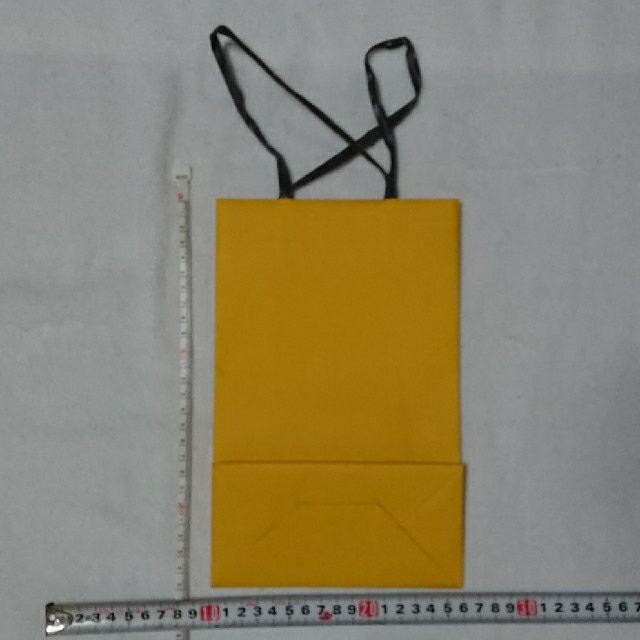 FENDI(フェンディ)のFENDI フェンディ 紙袋(黄) レディースのバッグ(ショップ袋)の商品写真