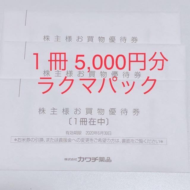 【ラクマパック】カワチ薬品 株主優待券 10，000円分