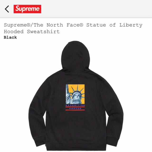 Supreme(シュプリーム)の新品 本物 supreme 新作 tnf パーカー ❤ スウェット スニーカー メンズのトップス(パーカー)の商品写真