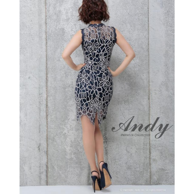 Andy(アンディ)のドレス レディースのフォーマル/ドレス(ミニドレス)の商品写真