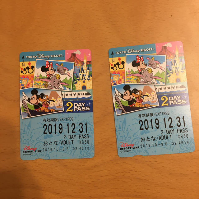 ディズニーリゾートライン　2DAYS パスポート チケットの施設利用券(遊園地/テーマパーク)の商品写真