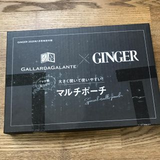 ガリャルダガランテ(GALLARDA GALANTE)のGinger 1月号 付録(ポーチ)