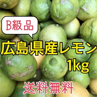 B級品レモン 化学農薬不使用 大崎上島産 広島 瀬戸内 グリーンレモン 1kg(フルーツ)