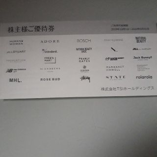 ステューシー(STUSSY)のTSIホールディングスの株主優待券１冊（未使用）(その他)