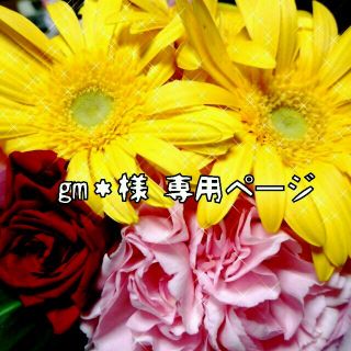 gm＊様専用♡花ペン(その他)