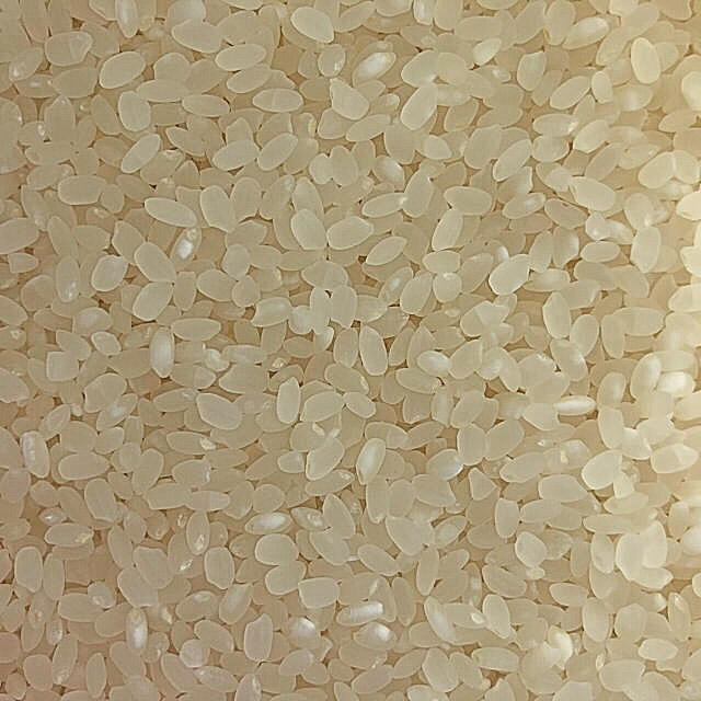 新米　きたくりん　北海道　米 食品/飲料/酒の食品(米/穀物)の商品写真