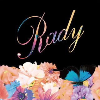 レディー(Rady)の未使用 Rady カップ＆ソーサー(グラス/カップ)