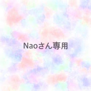 Naoさん専用(その他)