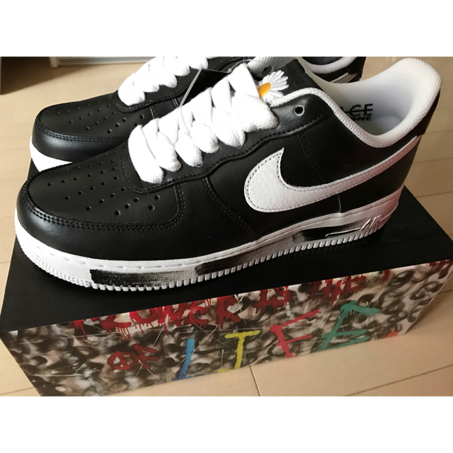 NIKE エアフォース1 パラノイズ 28cm