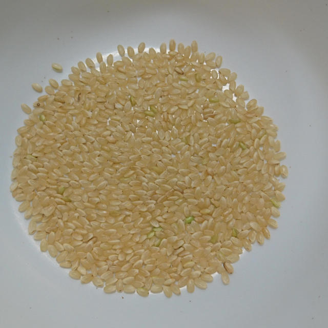 無農薬 玄米 コシヒカリ 10kg 新米 令和元年 徳島県産 食品/飲料/酒の食品(米/穀物)の商品写真