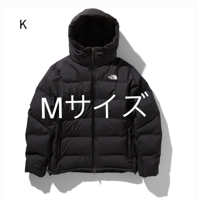 THE NORTH FACE ノースフェイス ビレイヤーパーカー