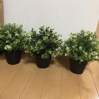 イケア(IKEA)の結婚式に！IKEAフェイクグリーン(ウェルカムボード)