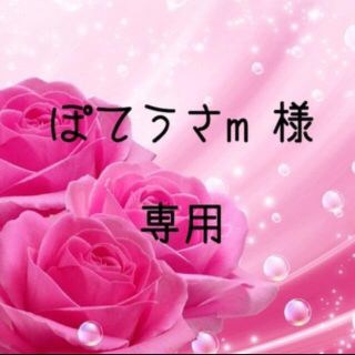 ぽてうさm様専用  お米　令和元年　愛媛県産キヌヒカリ　白米　10㎏(米/穀物)
