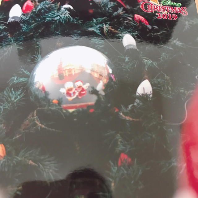 Disney(ディズニー)のディズニーランド 2019クリスマス スペシャルフォト  エンタメ/ホビーの美術品/アンティーク(写真)の商品写真