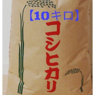 【残りわずかの商品】【コシヒカリ】精米10kg
格安訳あり令和元年産新米 


(米/穀物)