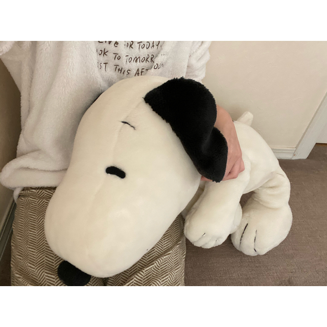 PEANUTS(ピーナッツ)のSNOOPY❤︎ぬいぐるみ エンタメ/ホビーのおもちゃ/ぬいぐるみ(ぬいぐるみ)の商品写真