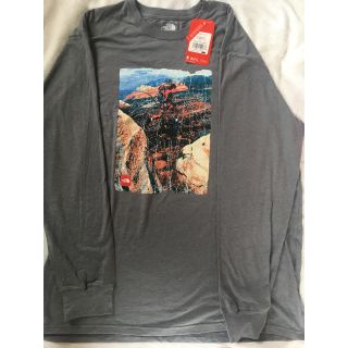 ザノースフェイス(THE NORTH FACE)の新品　海外限定　the north face ロンt(Tシャツ/カットソー(七分/長袖))