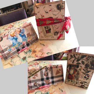 おすそ分けファイルクリスマス＋蛇腹ファイルセット⭐️pink bear様専用⭐️(その他)