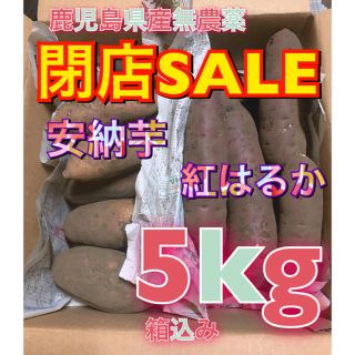 鹿児島県産 無農薬 安納芋と紅はるか 箱込み5kg(野菜)