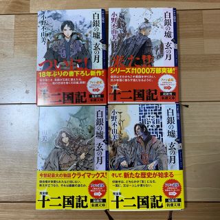 白銀の墟　玄の月 十二国記 全4巻(文学/小説)