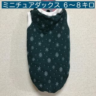 ダックス６〜８キロ未満『キルトニット雪柄・緑』(ペット服/アクセサリー)