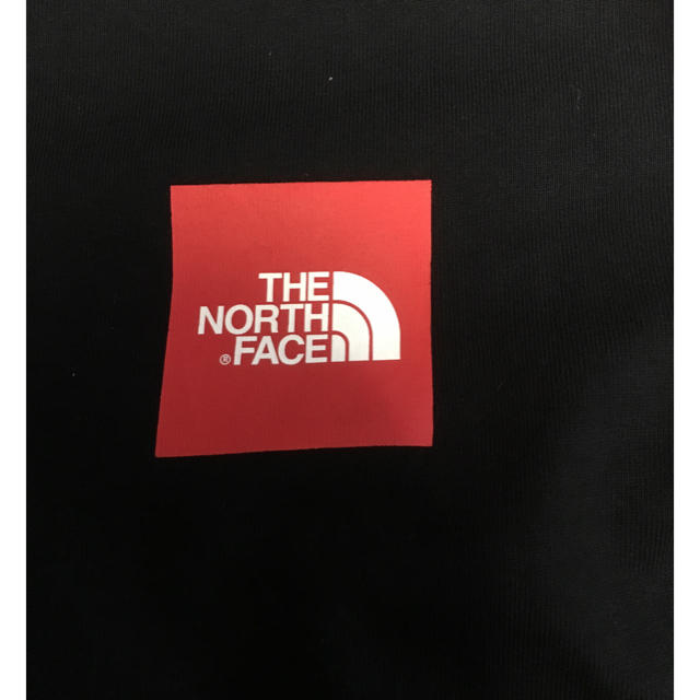 THE NORTH FACE(ザノースフェイス)のTHE NORTH FACE ロンT メンズのトップス(Tシャツ/カットソー(七分/長袖))の商品写真