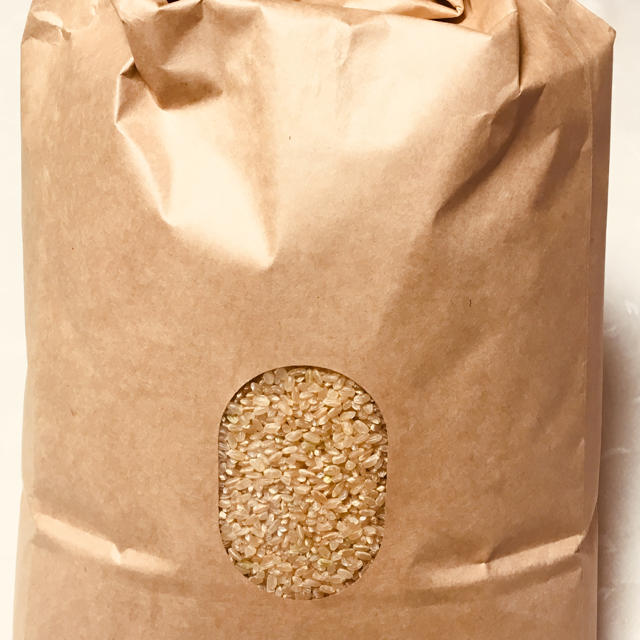 有機肥料栽培　玄米　令和元年度産　あきたこまち　無農薬　新米　15kg-