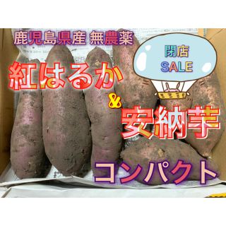 鹿児島県産 無農薬 紅はるかと安納芋 コンパクト(野菜)