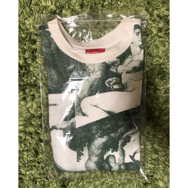 Supreme(シュプリーム)のsupreme 17AW Michelangelo L/S ミケランジェロ S メンズのトップス(Tシャツ/カットソー(七分/長袖))の商品写真