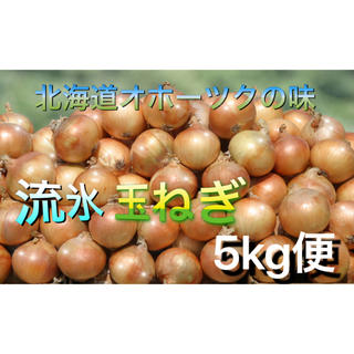 北海道産 トロットロ玉ねぎ5kg便(野菜)