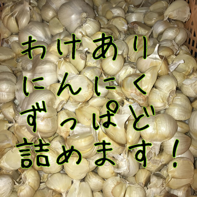 わけありにんにく青森 食品/飲料/酒の食品(野菜)の商品写真