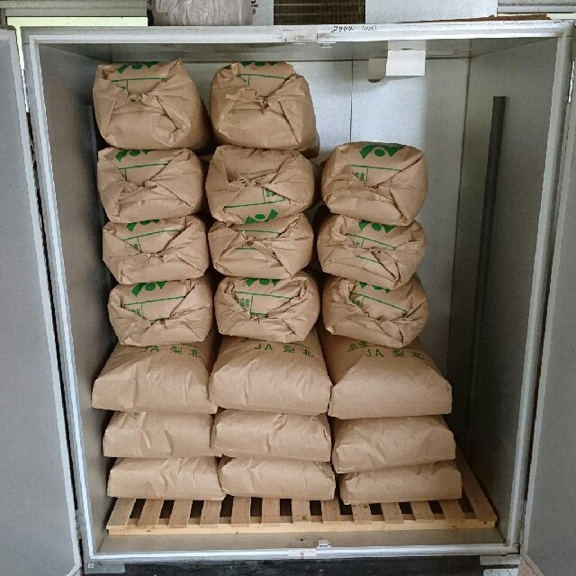 お米　米/穀物　減農薬　農家直送　1等米　20kg　令和元年度産　玄米　梨北米　白米
