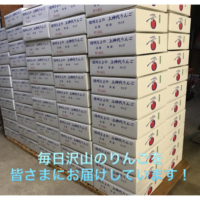 サンふじ　家庭用　３キロ　蜜入り　送料無料　長野県産　減農薬　化学肥料不使用 食品/飲料/酒の食品(フルーツ)の商品写真