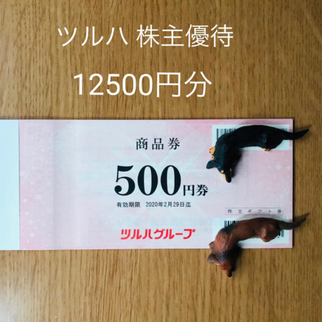 ツルハ 株主優待 12500円分 お値引き不可 www.krzysztofbialy.com