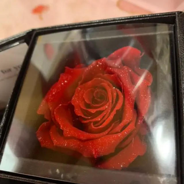 DIAMOND ROSE GUARANTEE レディースのアクセサリー(その他)の商品写真