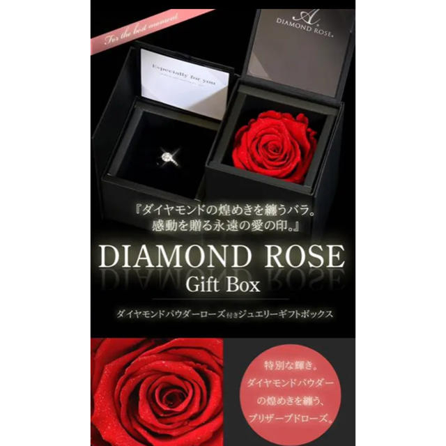 DIAMOND ROSE GUARANTEE レディースのアクセサリー(その他)の商品写真