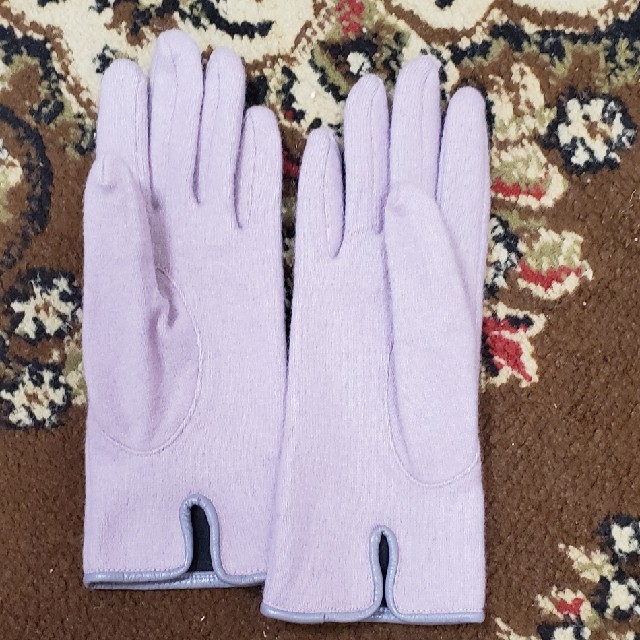 Vivienne Westwood(ヴィヴィアンウエストウッド)のvivienne westwood 手袋 レディースのファッション小物(手袋)の商品写真