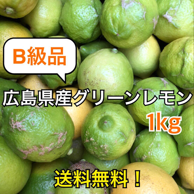 B級品レモン 化学農薬不使用 大崎上島産 広島 瀬戸内 グリーンレモン 1kg 食品/飲料/酒の食品(フルーツ)の商品写真