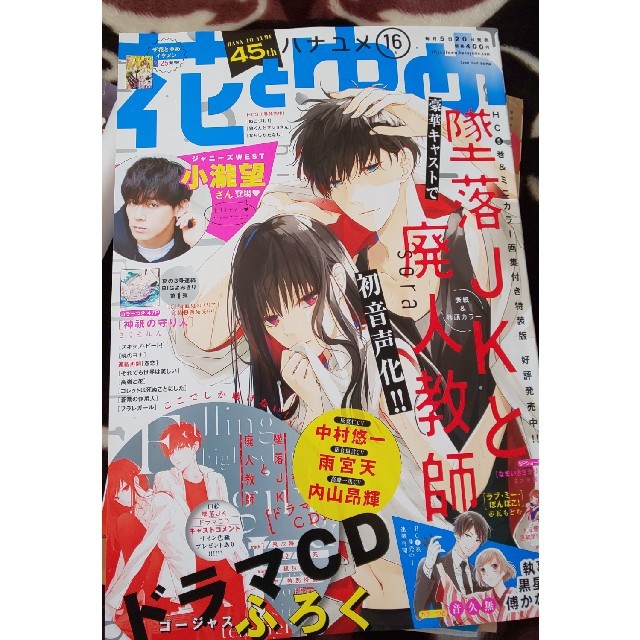 白泉社(ハクセンシャ)の花とゆめ 2019年 8/5号 墜落JKと廃人教師ドラマCD付き！ エンタメ/ホビーの雑誌(その他)の商品写真