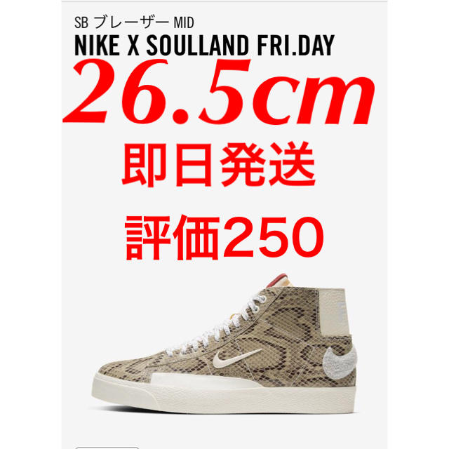 Nike Sb blazer snake ナイキ　ブレザー　スネーク靴/シューズ